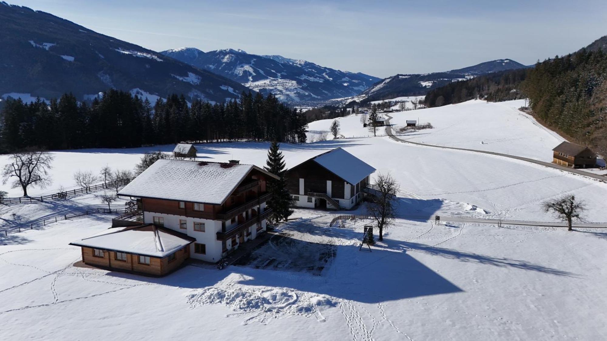 Pircherhof Appartements Haus im Ennstal Exteriör bild