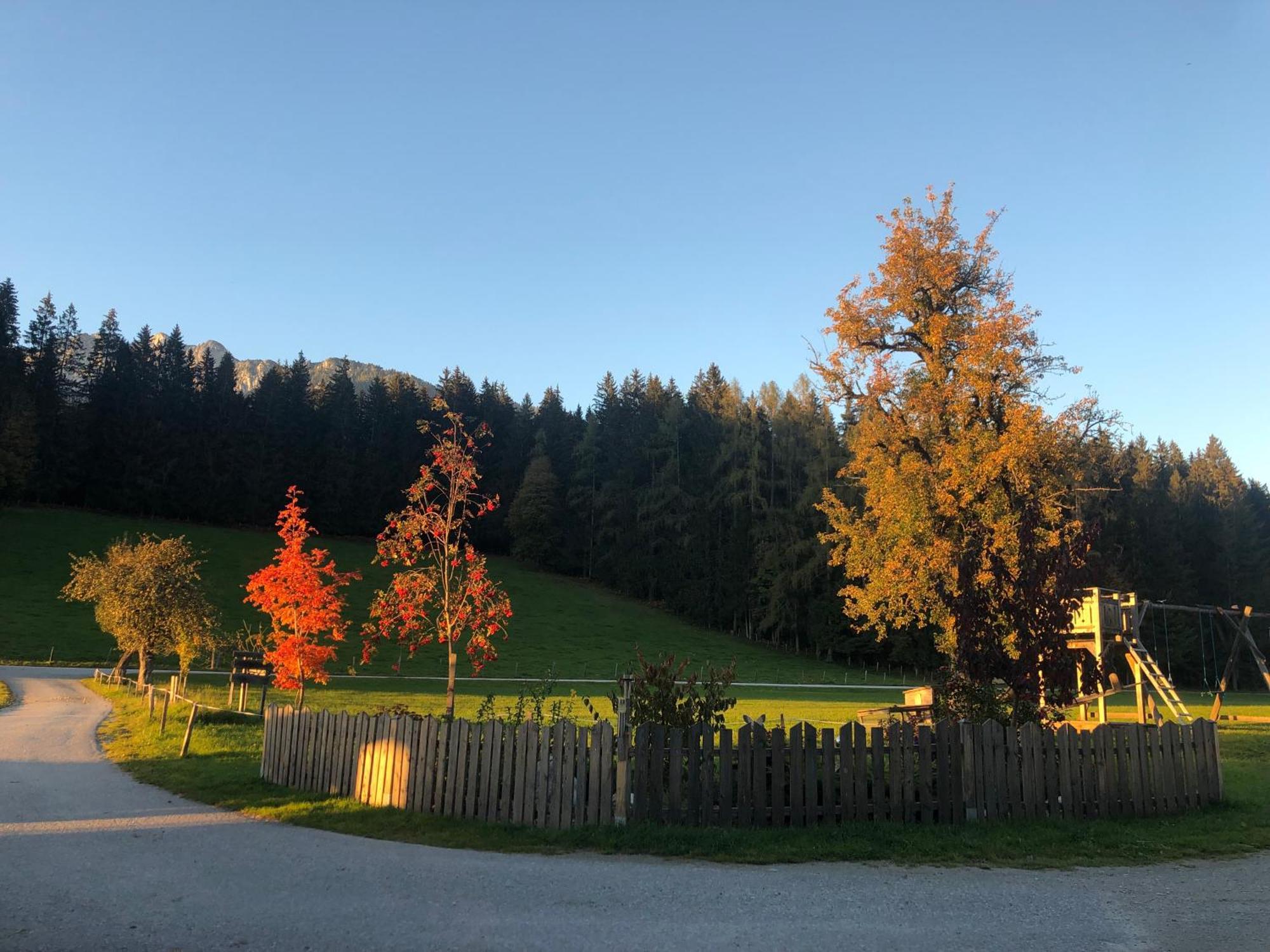 Pircherhof Appartements Haus im Ennstal Exteriör bild